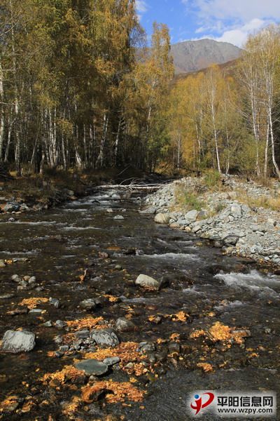 IMG_0836_СС.JPG
