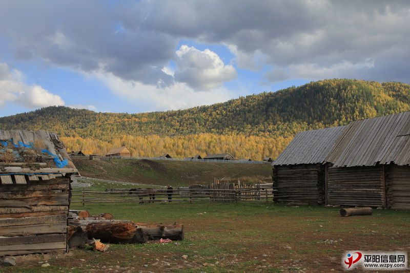 IMG_0887_СС.JPG