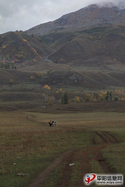 IMG_0933_СС.JPG