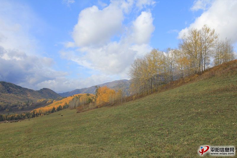 IMG_0948_СС.JPG