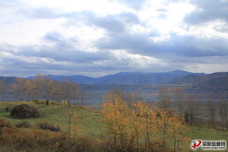 IMG_0955_СС.JPG