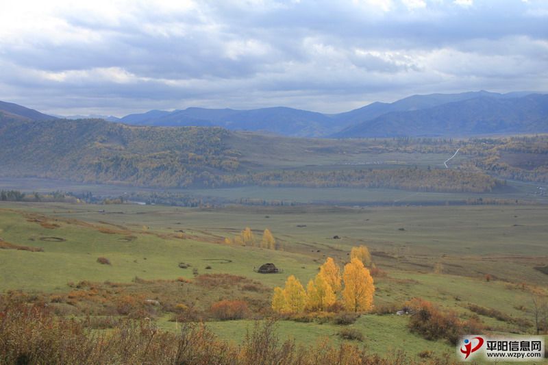 IMG_0961_СС.JPG