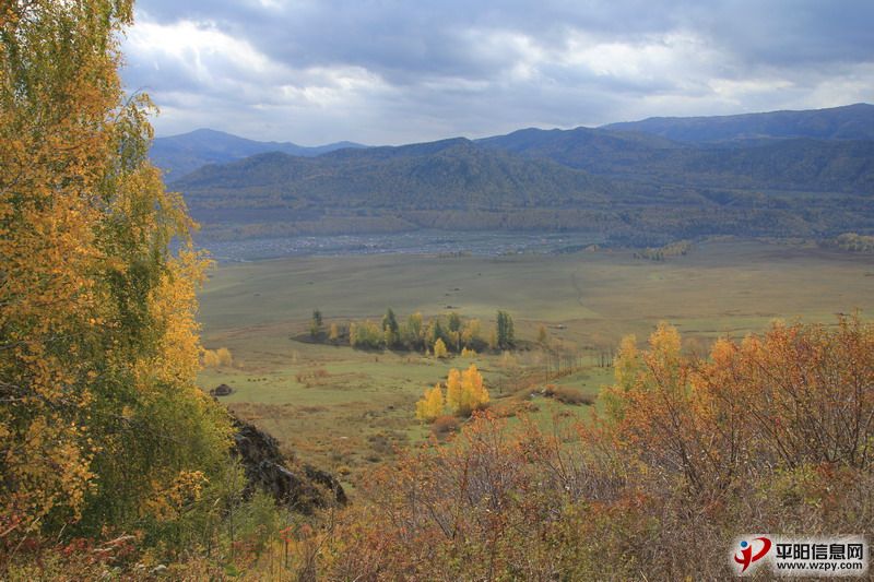 IMG_0962_СС.JPG