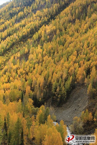 IMG_1014_СС.JPG