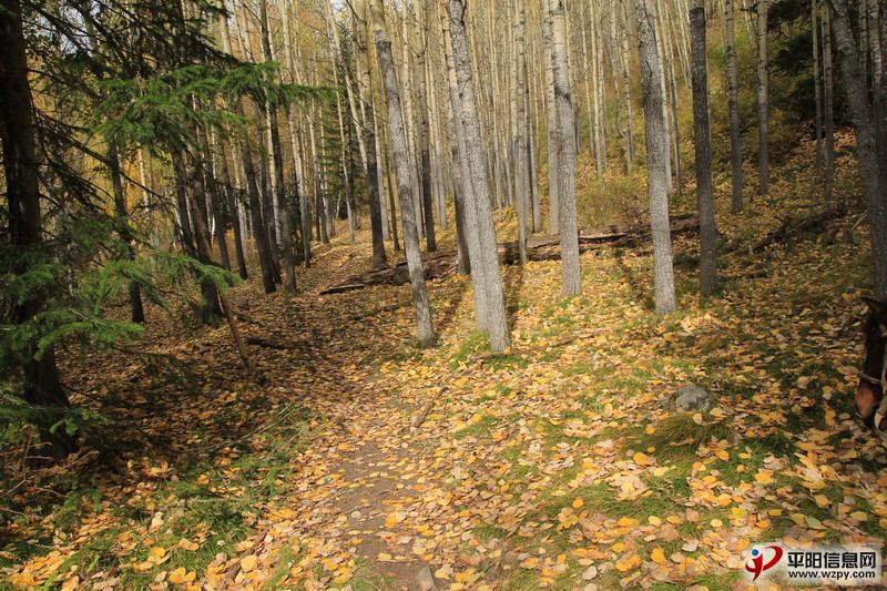 IMG_1009_СС.JPG
