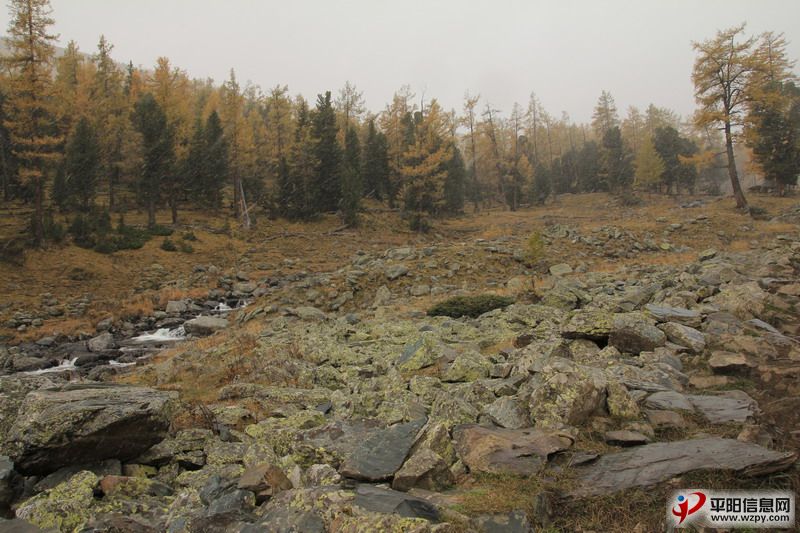 IMG_1046_СС.JPG