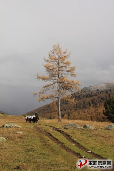 IMG_1058_СС.JPG
