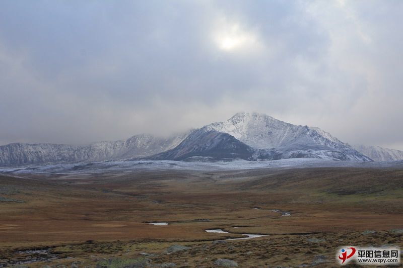 IMG_1074_СС.JPG