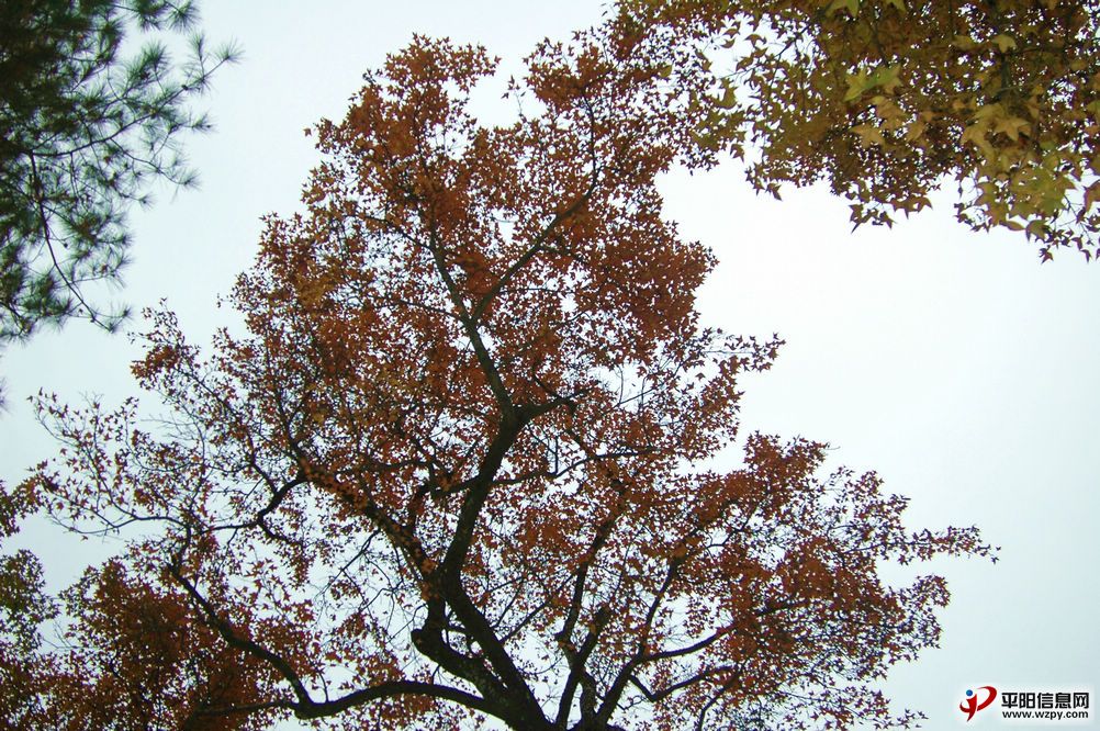 DSC_1413.JPG
