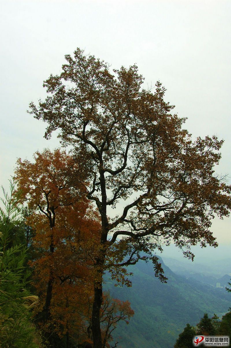 DSC_1423.JPG