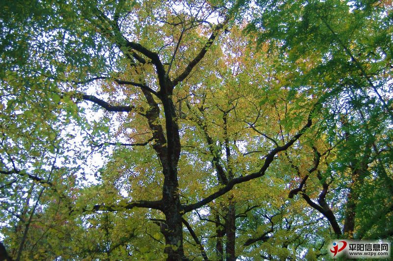DSC_1326.JPG