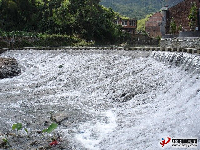 20100305201332161.jpg