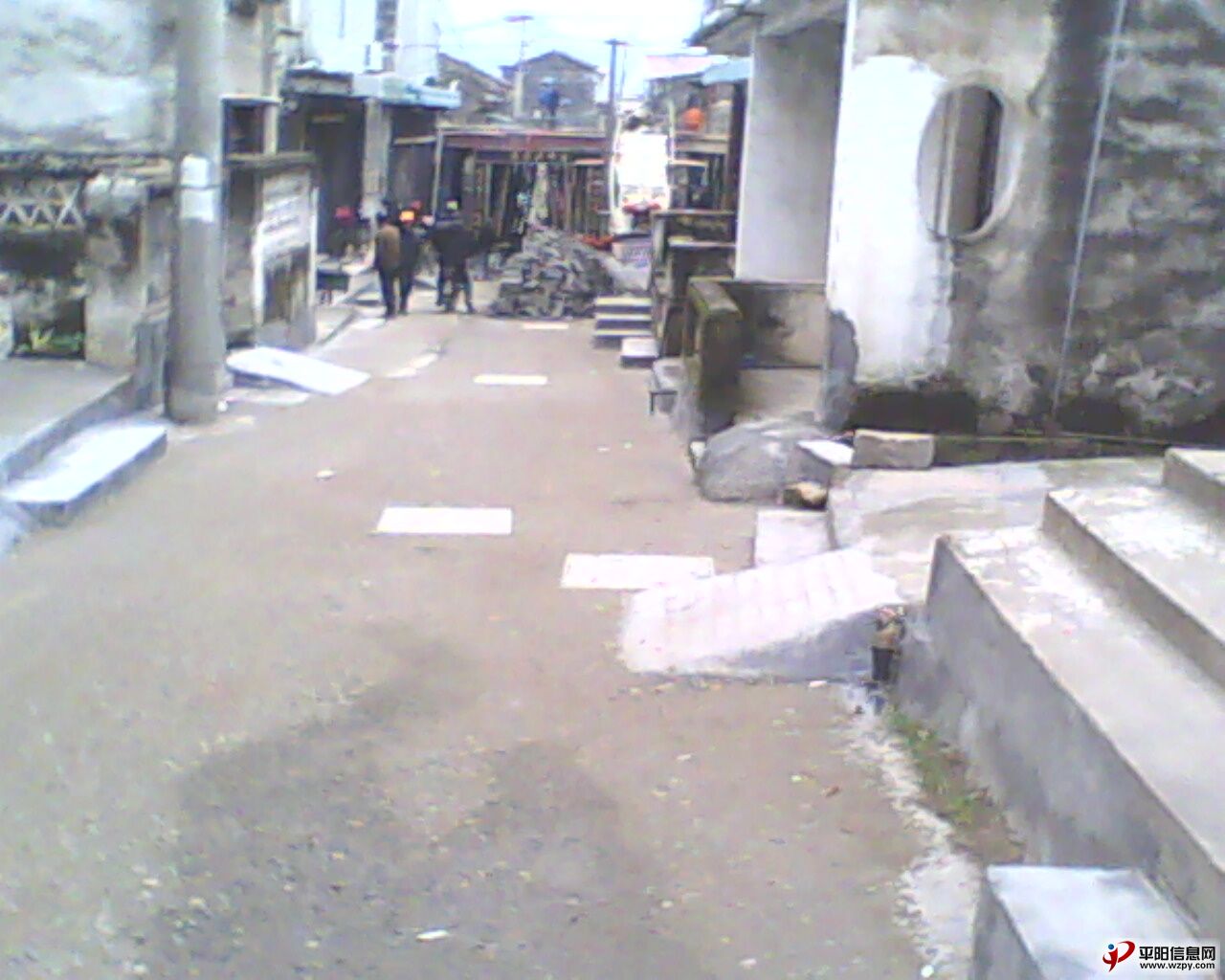 IMG0456A.jpg