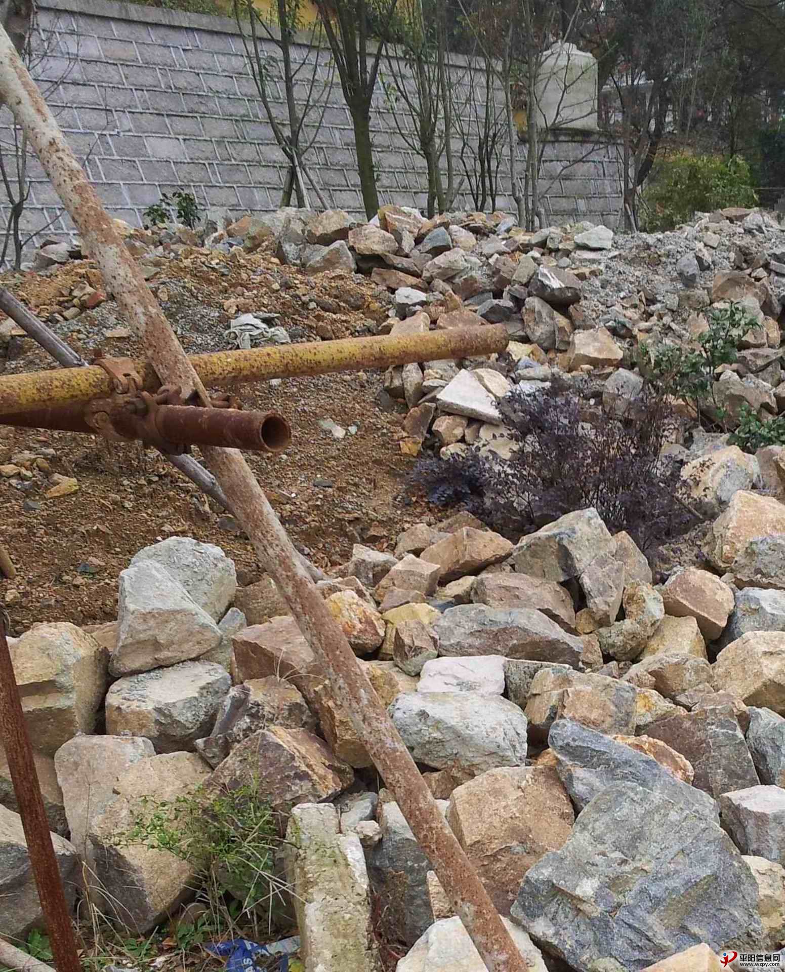 20130112_141903.jpg