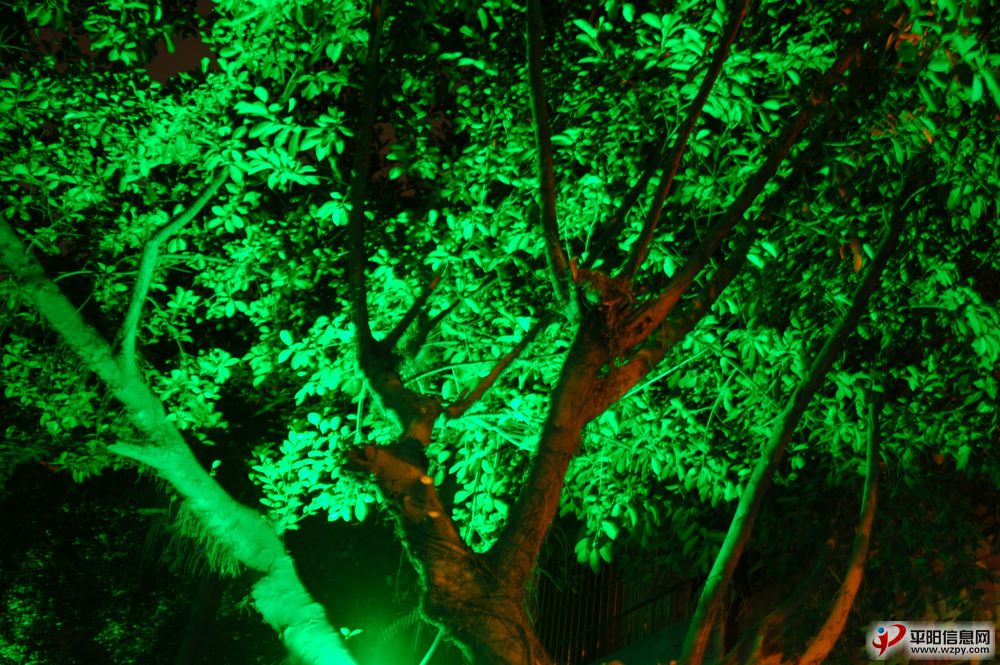 DSC_7154.JPG