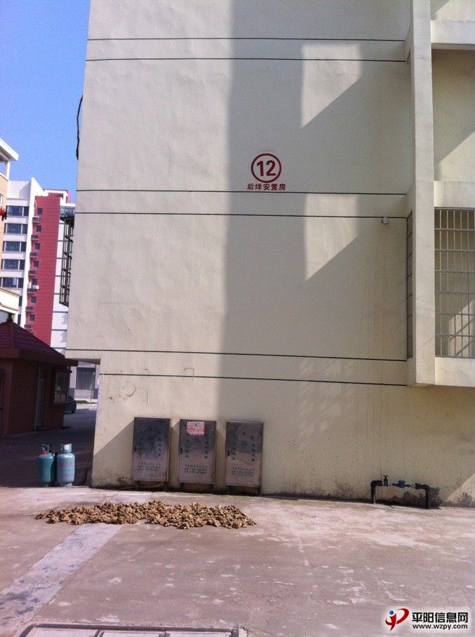 06.jpg