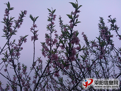 IMG_20130224_091655.PNG
