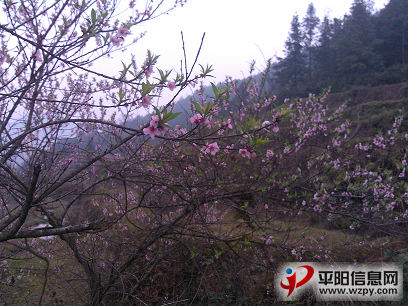 IMG_20130224_091712.PNG
