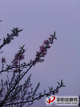 IMG_20130224_091724.PNG