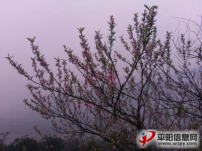 IMG_20130224_091740.PNG