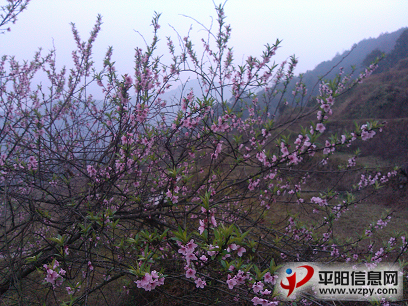 IMG_20130224_091751.PNG