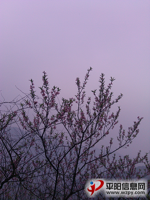 IMG_20130224_091800.PNG