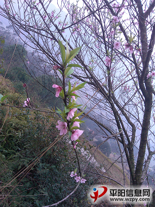 IMG_20130224_091812.PNG