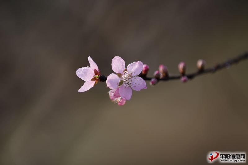 _N3A0174.jpg