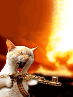 20110918171036195405460.gif