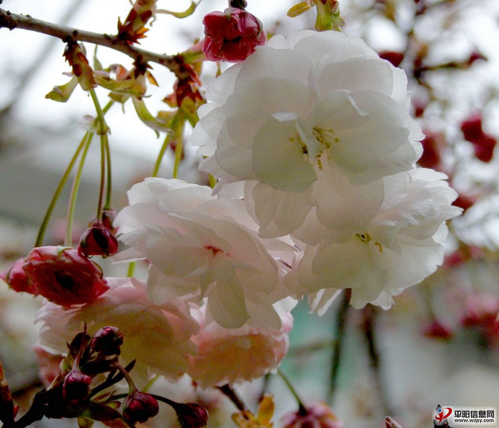2010_03300005.JPG