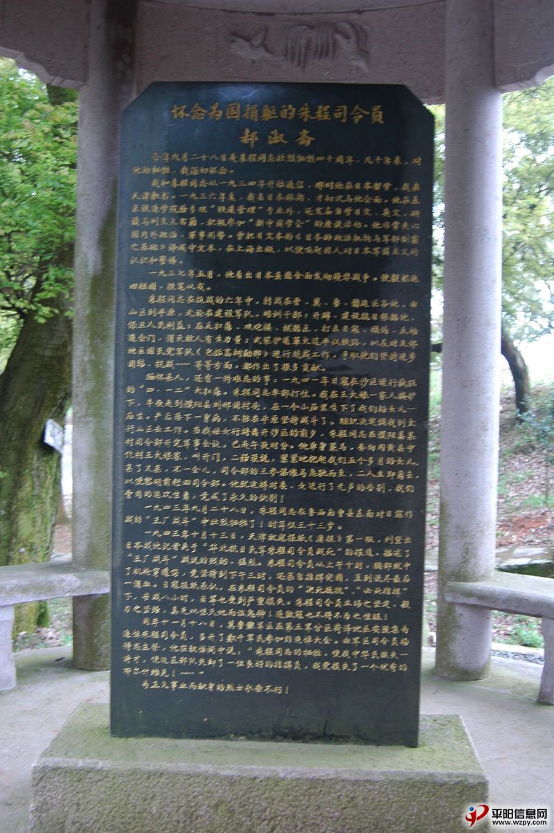 DSC_3633.JPG