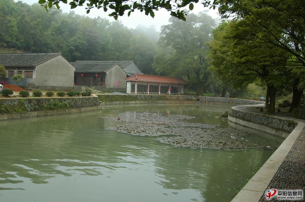 DSC_3636.JPG