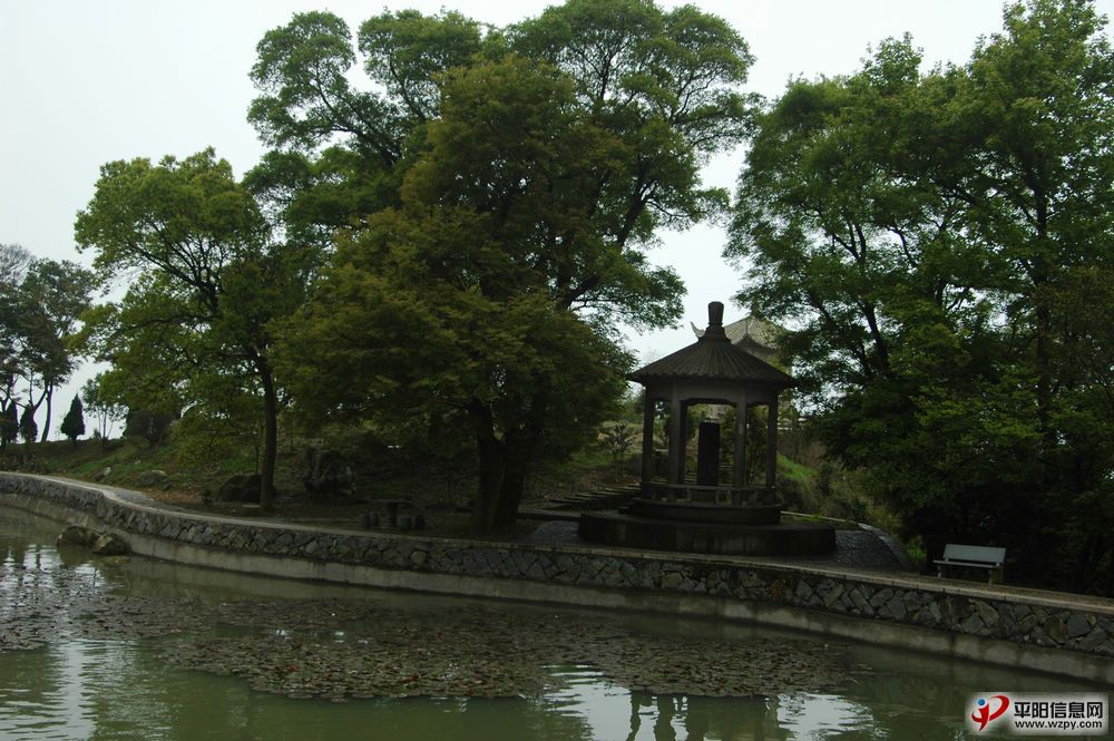 DSC_3641.JPG