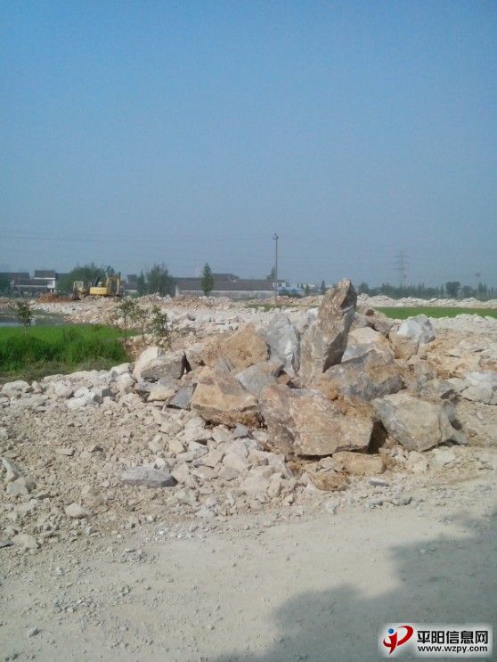 02.jpg