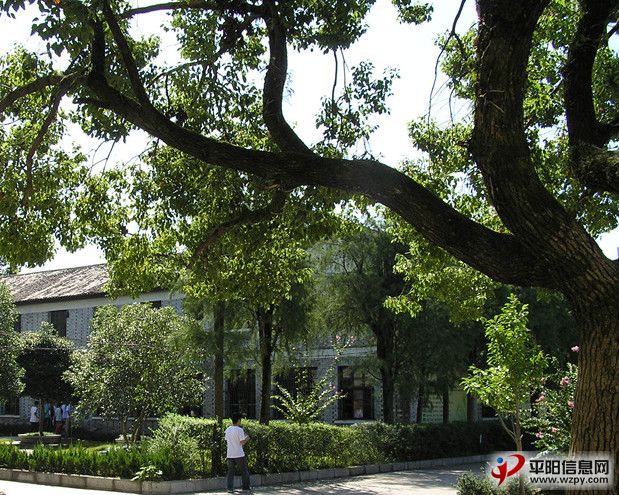 P9140186__.jpg