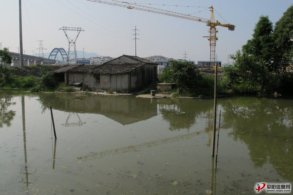 03.jpg