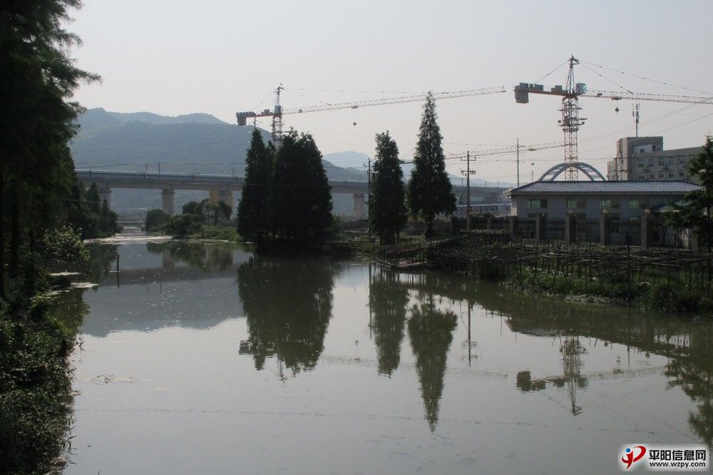 06.jpg
