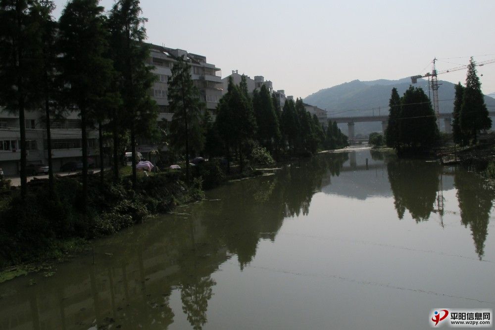 07.jpg