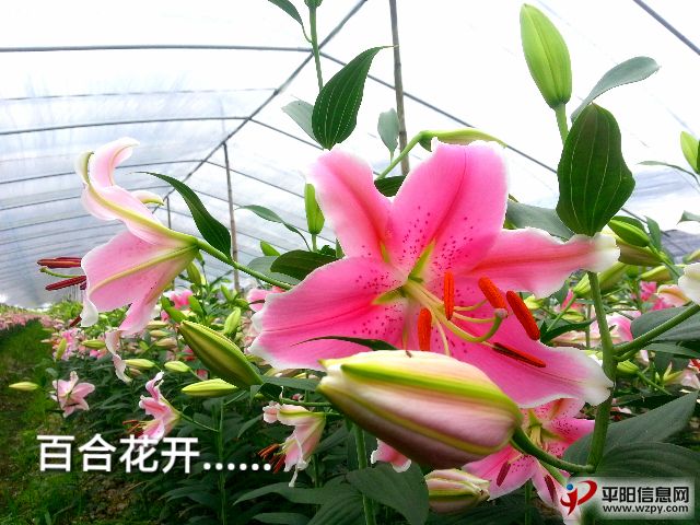 20130613_101813_mh001.jpg