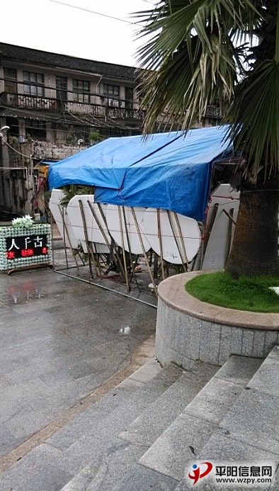 555.jpg