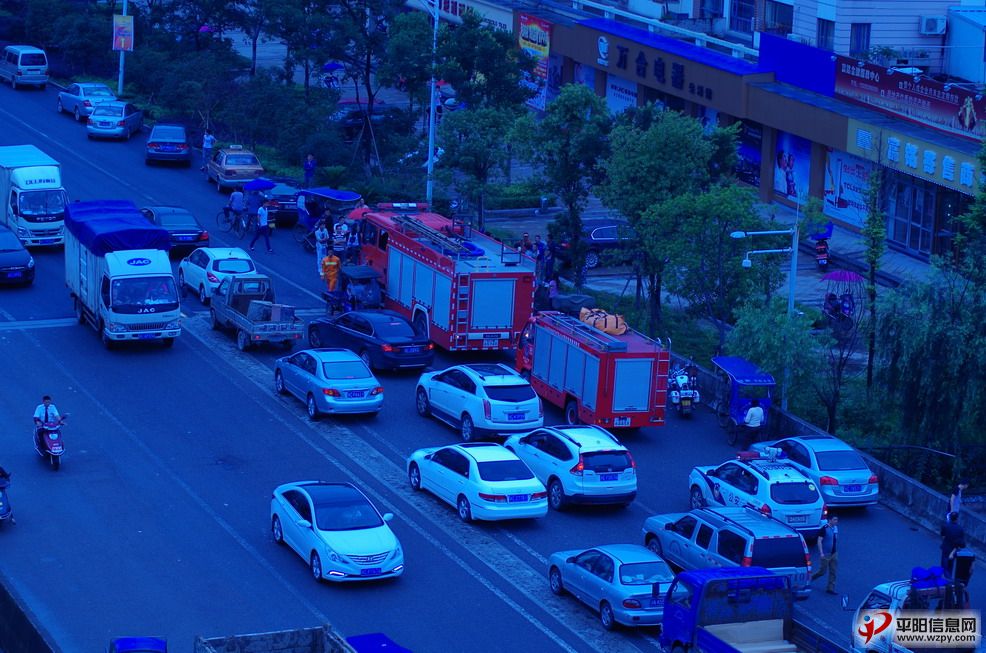 IMGP1642_СС.JPG