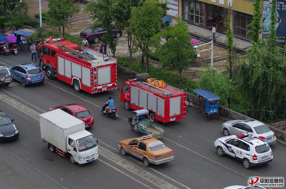 IMGP1644_СС.JPG