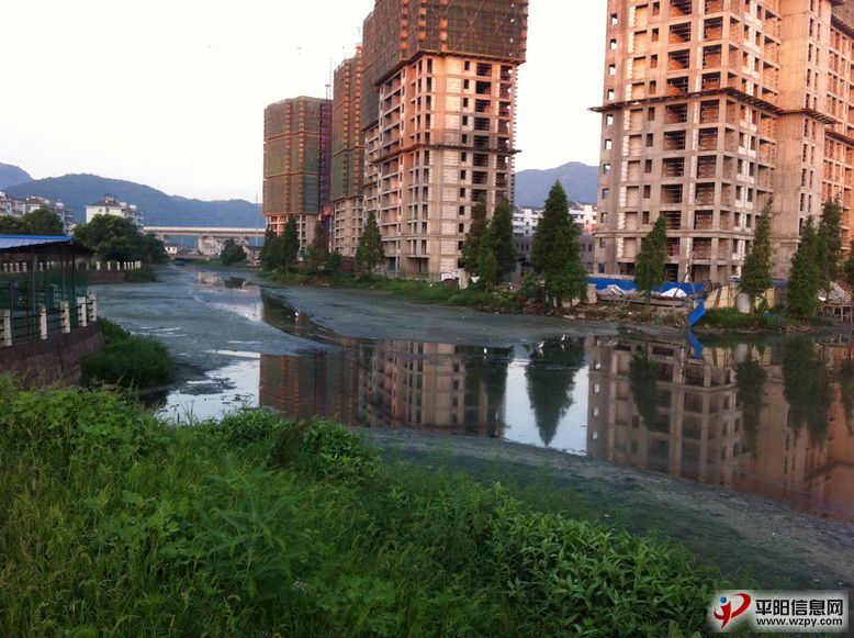 IMG_1031_С.JPG