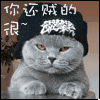 20111216085948093405460.gif