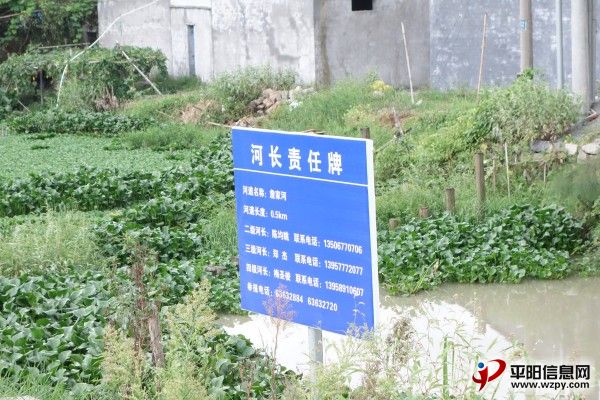 conew_dsc00180.jpg