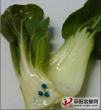 QQͼƬ20130917152224.jpg