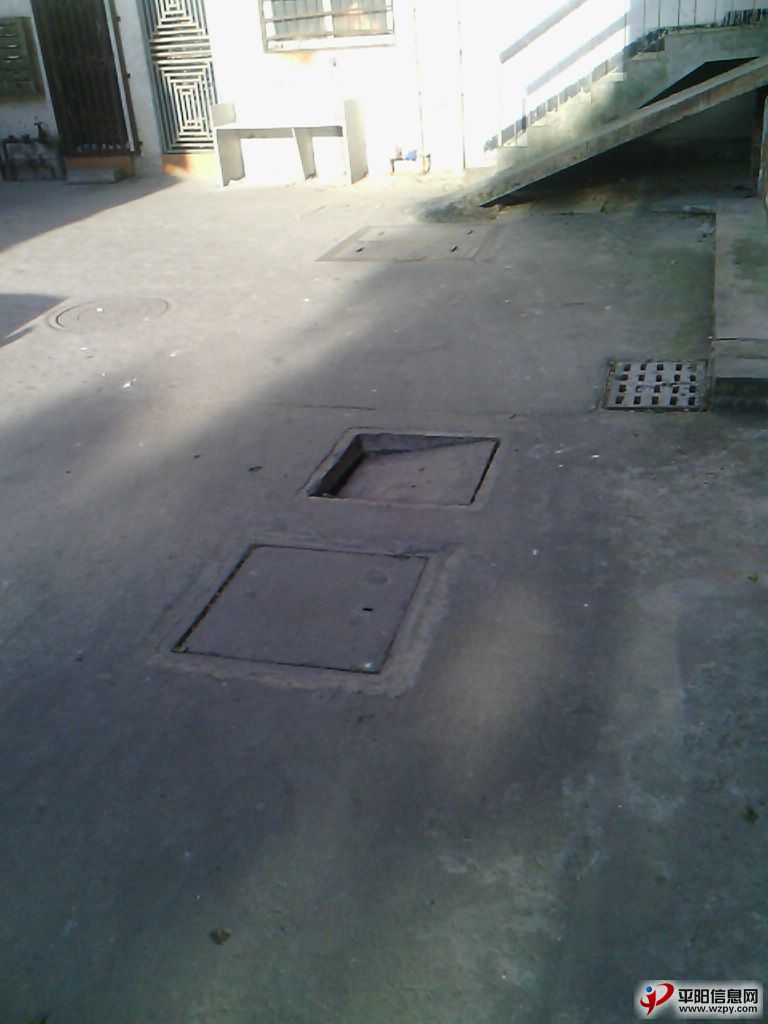 IMG_20131025_155519.jpg