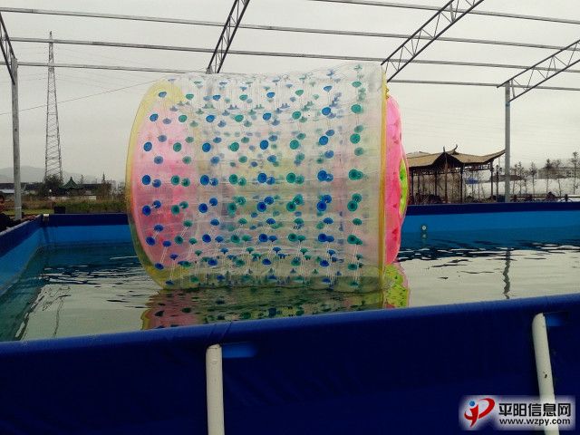 20131102_105456_.jpg