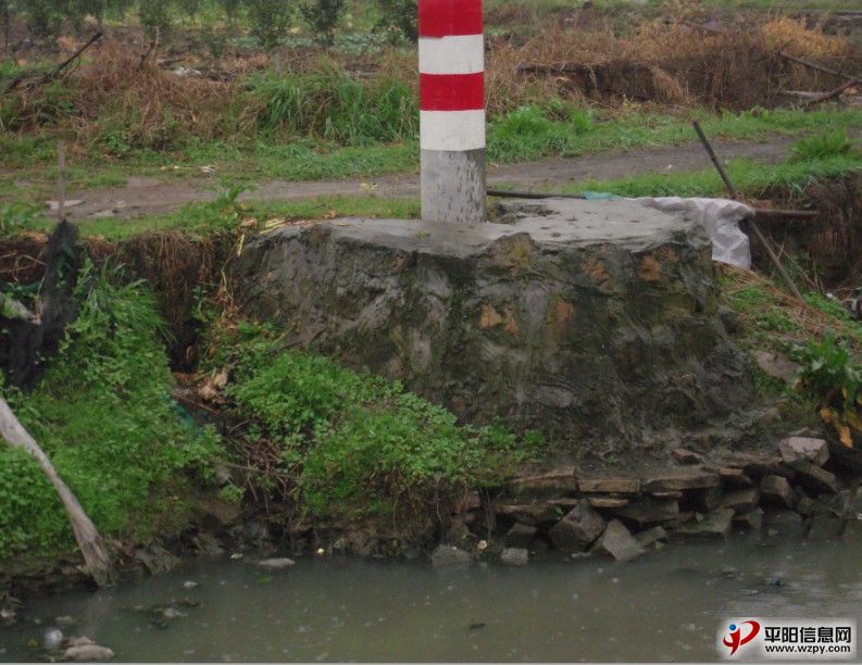 44.jpg