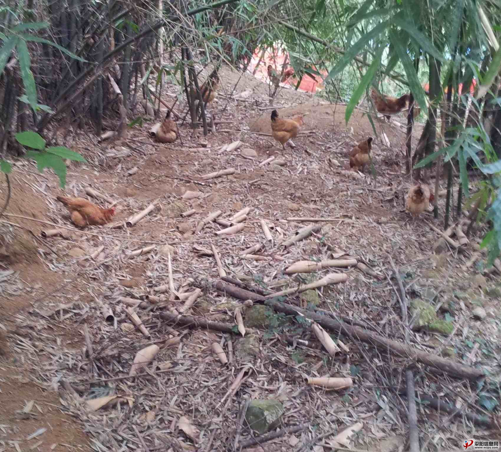 20131124_083109.jpg